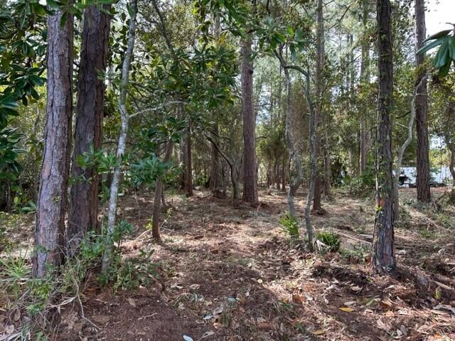 Bay Pine Shores PH 1 - Land