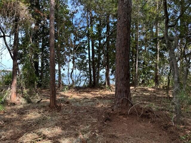 Bay Pine Shores PH 1 - Land