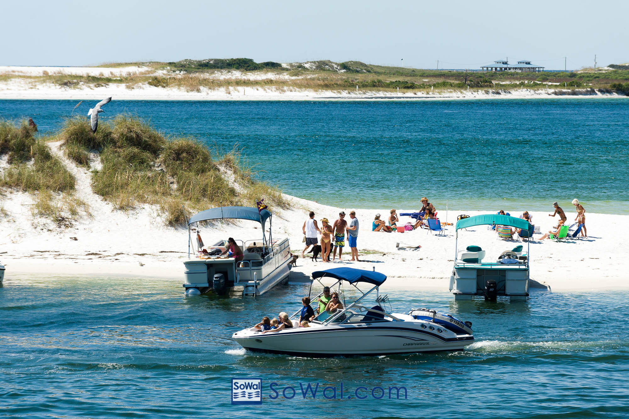 DESTIN ON THE GULF - Residential