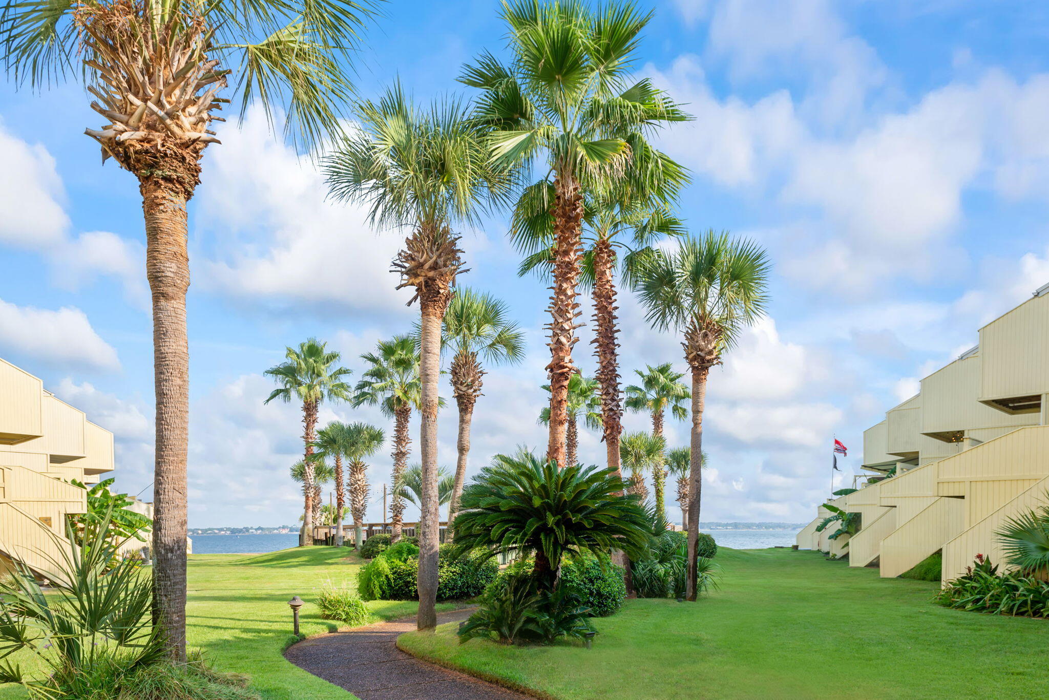 BUENA VIDA - Residential