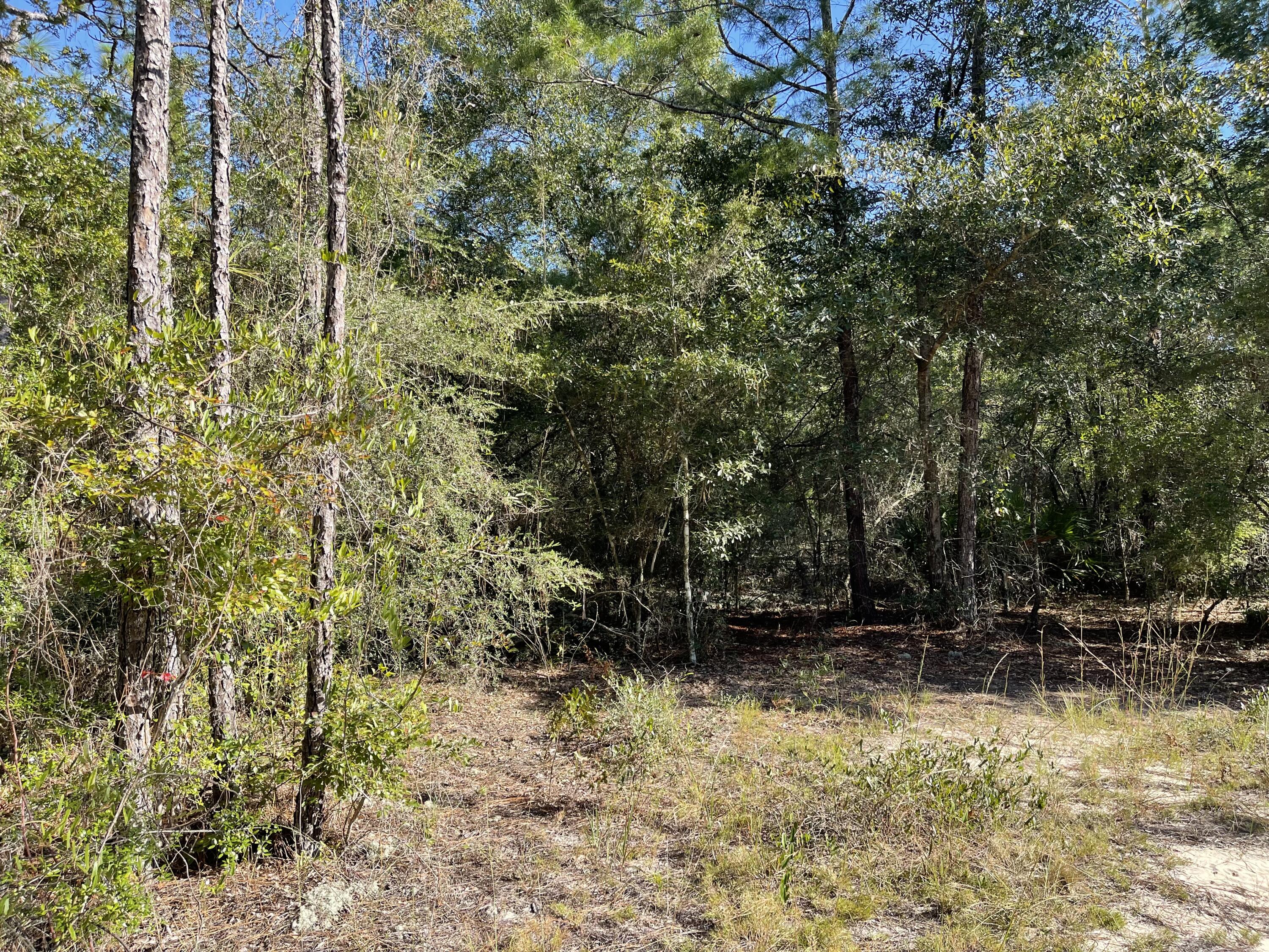 OAKWOOD HILLS UNIT II - Land
