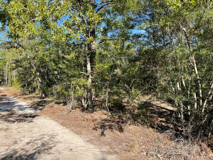 Four (4) Beautiful wooded lots making up .88 acres between DeFuniak Springs FL and Mossyhead all for one price!  No HOA. Minimal Restrictions.Easy access to the I-10 & CR 285 south making it a great location for work no matter what direction you need to go! You will be approx. 30-45 mins to most workplaces as well as the beautiful white sandy beaches of Florida famous Emerald Gulf Coast and Crab Island.  Modular homes allowed.There are no existing utilities. Well/Power/Septic required. Property is Flood Zone X. Per the Walton GIS mapping, the property does not appear to have wetlands.  Buyer needs to verify building codes, zoning regulations, wetlands and flood zones, etc with proper local authorities to ensure buyer will be able to utilize the property for intended use. Information contained within this listing is deemed to be accurate, but is not guaranteed.