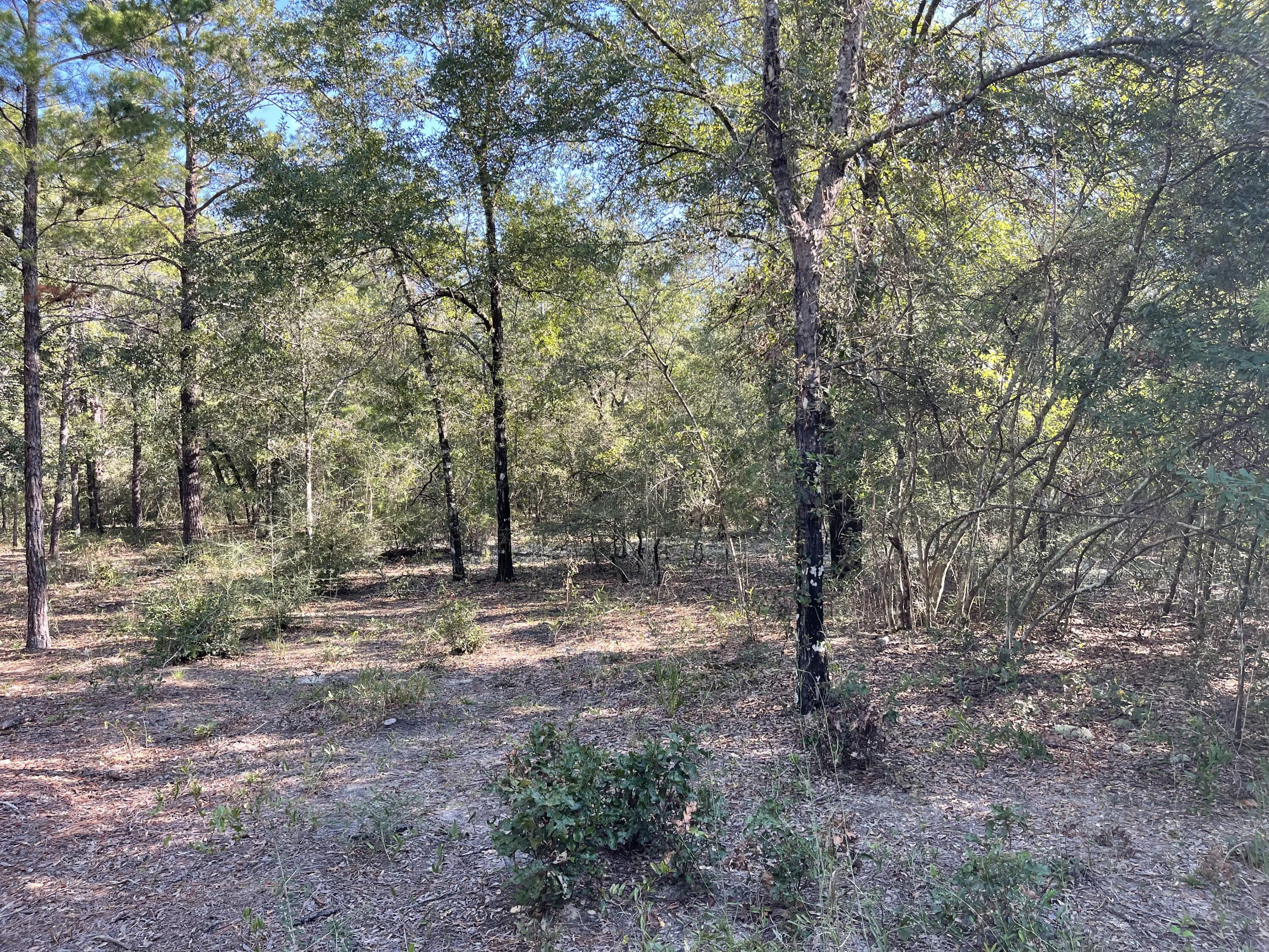 OAKWOOD HILLS UNIT II - Land