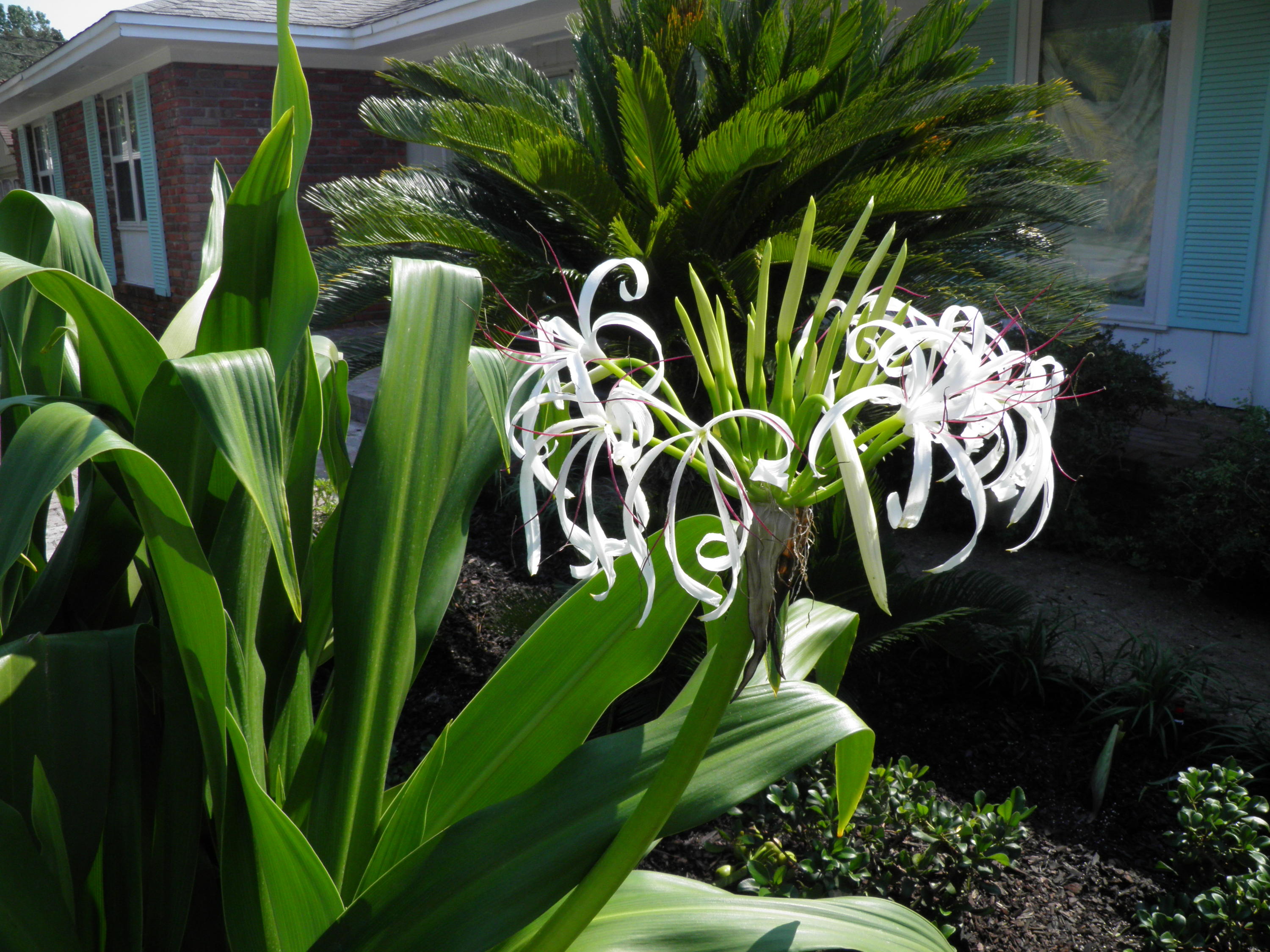 YACHT CLUB ESTATES - Residential Lease