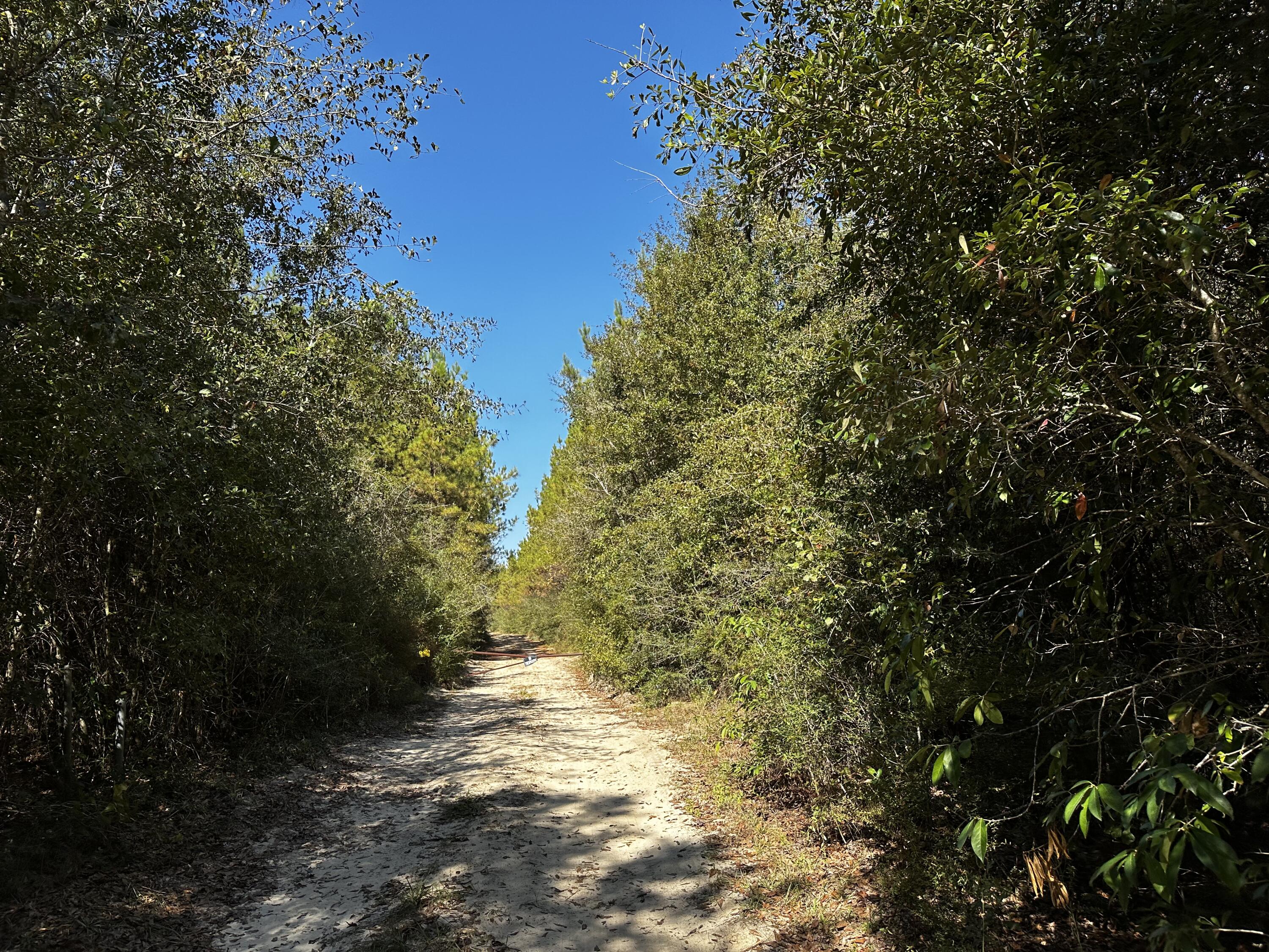 METES & BOUNDS - Land