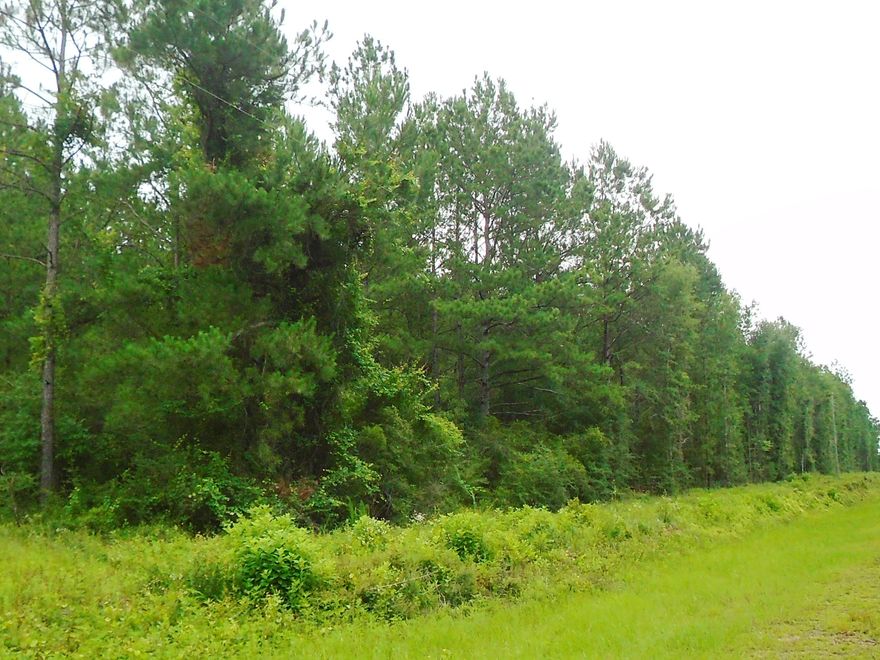 LOOKING FOR 10 ACRES - THIS IS A GREAT BUY ON THE MARKET! LOCATED IN NORTH WALTON COUNTY, THIS 10 ACRES OFFERS PAVED ROAD FRONTAGE ON 2 SIDES, PRIVACY, AND TONS OF TREES TO ALLOW YOU TO MAKE IT JUST LIKE YOU WANT. JUST MINUTES INTO TOWN - THIS LOCATION IS ALSO PERFECT TO COMMUTE TO EGLIN, CRESTVIEW AS WELL AS NICEVILLE BUT ALLOWS YOU TO HAVE A CONTRY RETREAT!