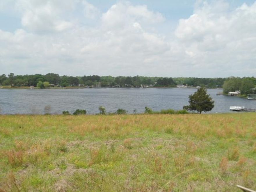Beautiful Waterfront lot on Kings Lake! This small area is a testament to itself as far as clean and neat. There is a lot of pride in ownership in this cozy waterfront setting. City water is available. Lot is located on a paved street. Kings Lake is a 500+ acre fishing lake with prize winning bass, bream, and catfish and more! Click on documents to see survey and other information. Ask about possibility of assumable mortgage.