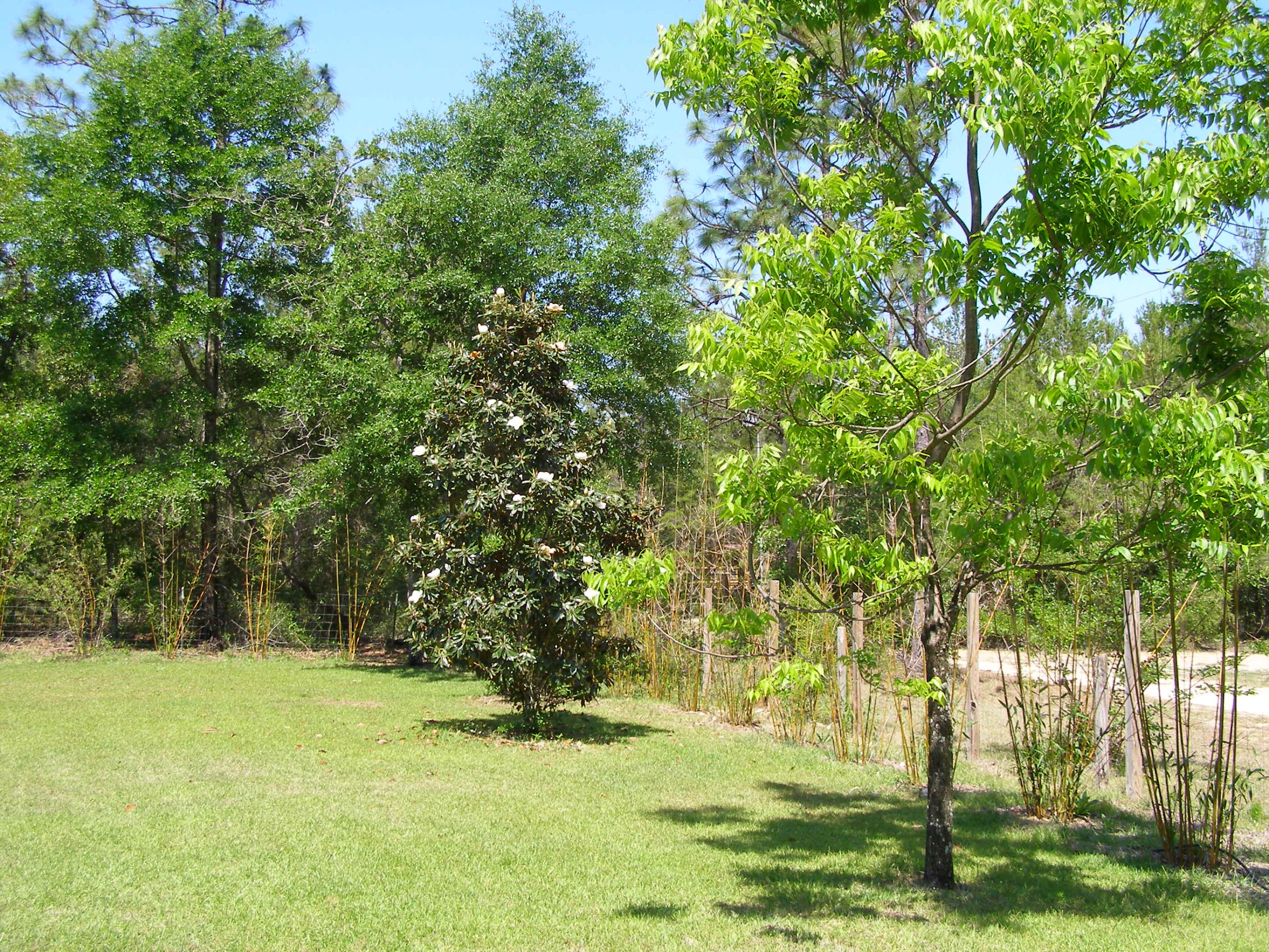 FOUR LAKES - Residential