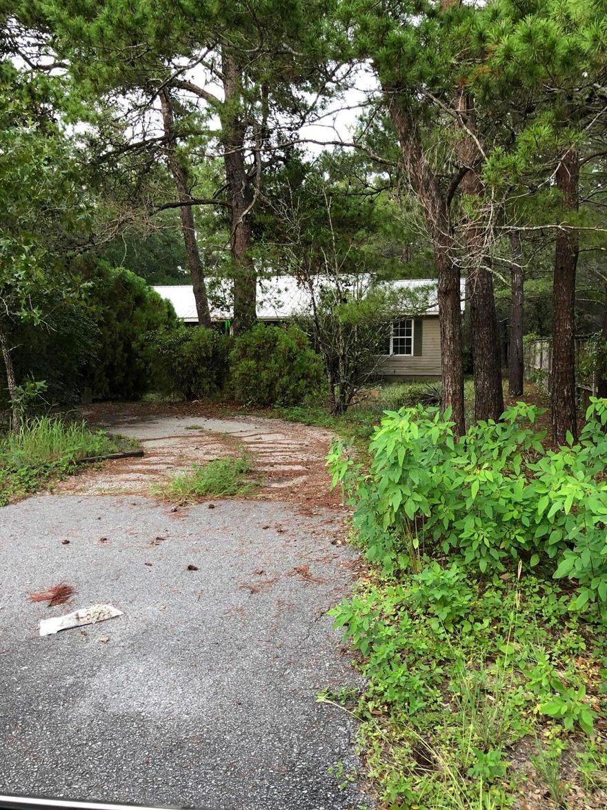 3 bedroom, 2 bath house with a large screen porch on a large lot is available to rent. You will love the location in Point Washington!