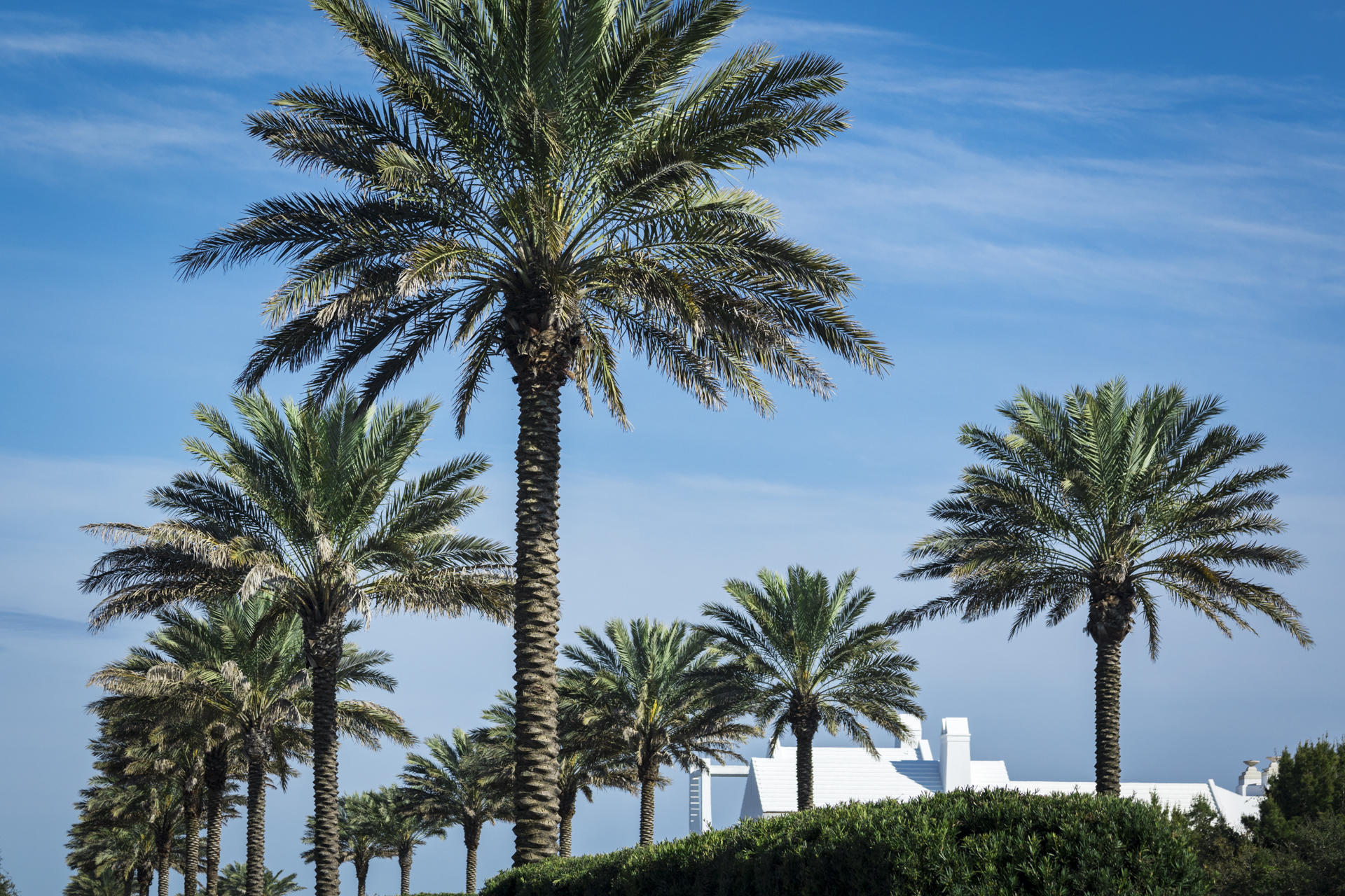 ALYS BEACH - Residential
