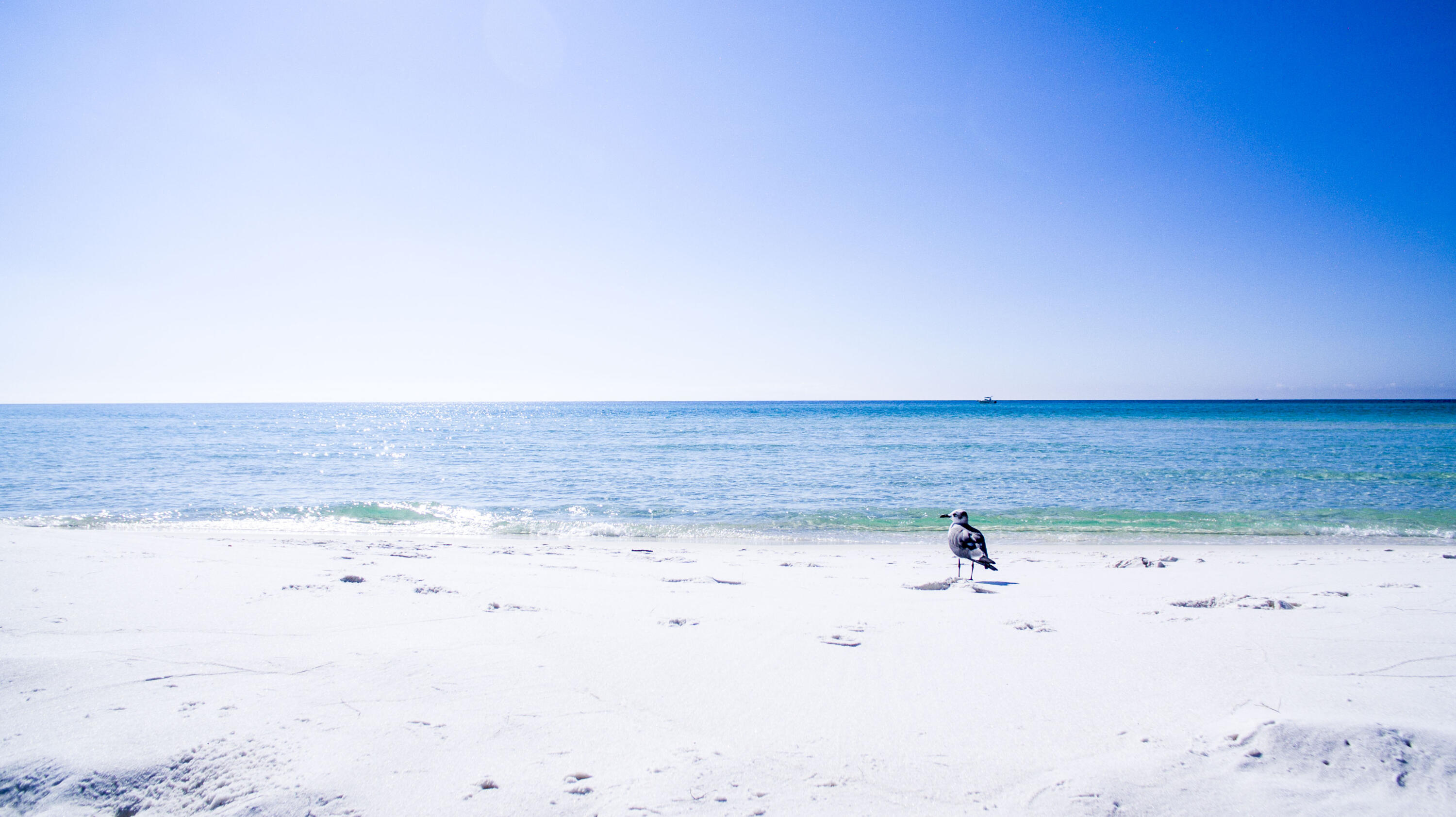 DRIFTWOOD DRIVE TOWNHOMES - Residential