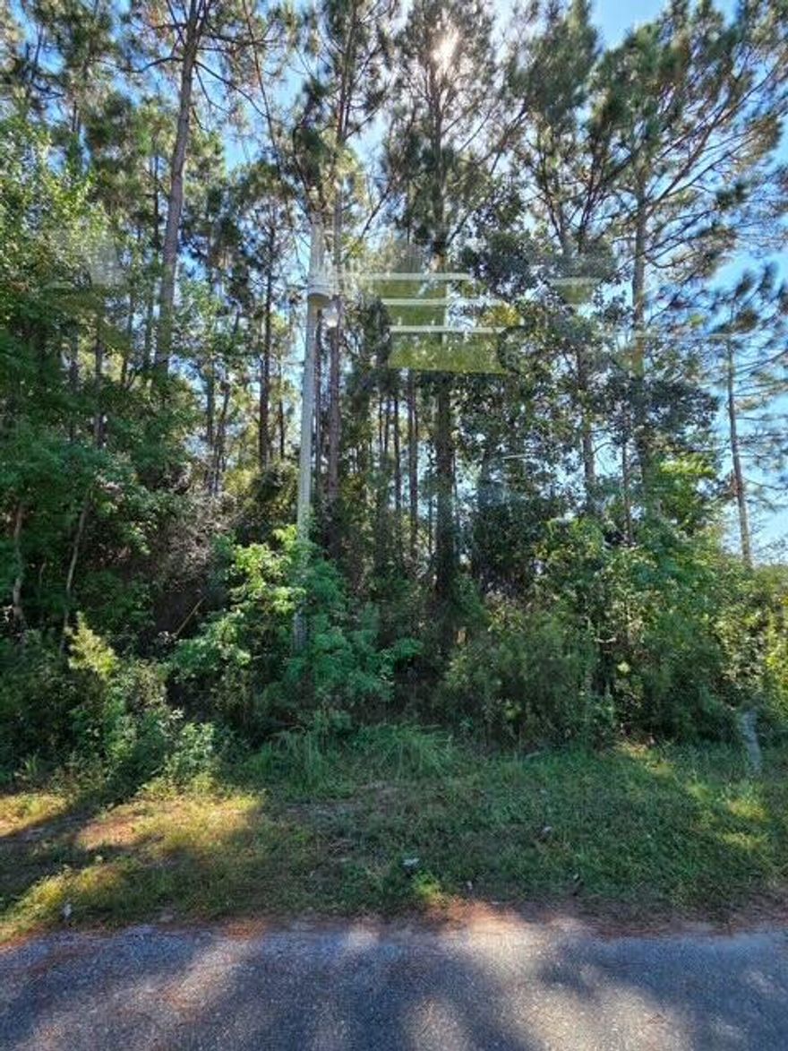 A great opportunity to build your dream home in Navarre! Only minutes to Navarre Beach, dining, and shoping.  Approximately .46 acres situated in a developed neighborhood with NO HOA! This one won't last long!