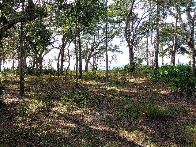 Robola Bluffs - Land