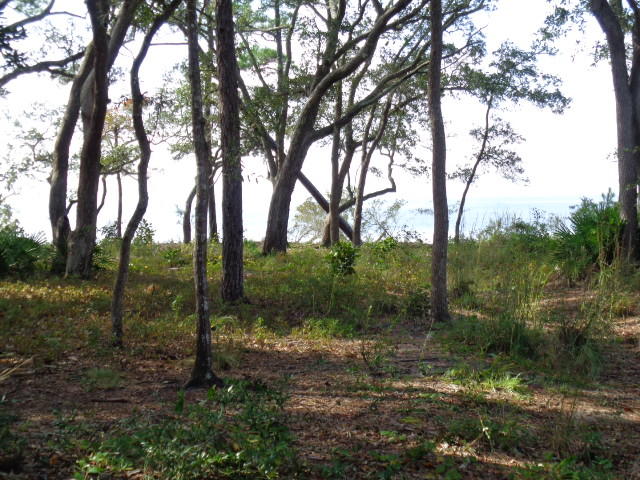 Robola Bluffs - Land