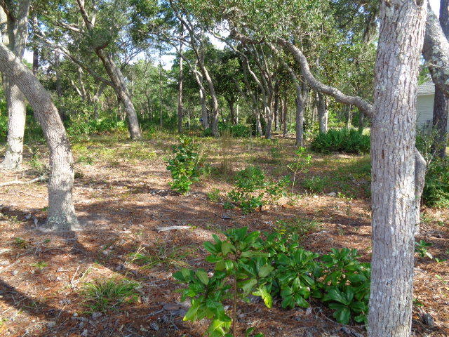 Robola Bluffs - Land