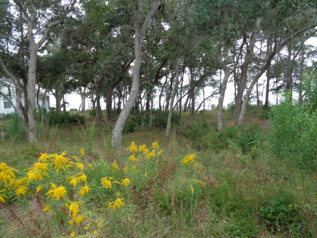 Robola Bluffs - Land