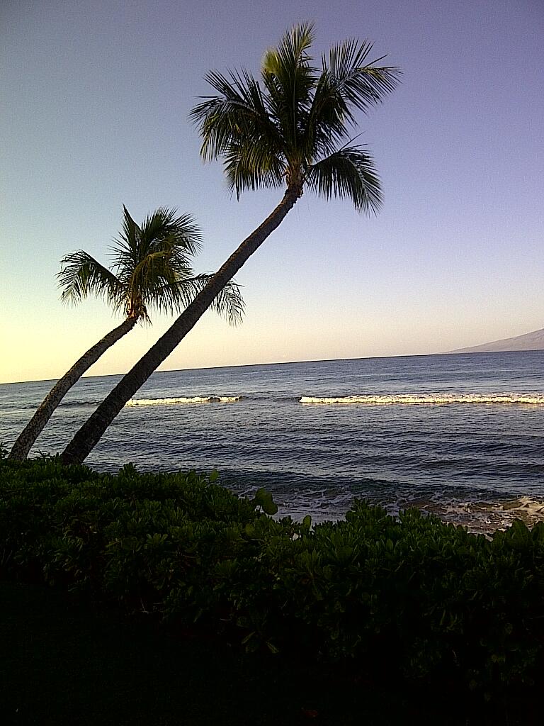 WATERFORD ESTATES S/D - Residential