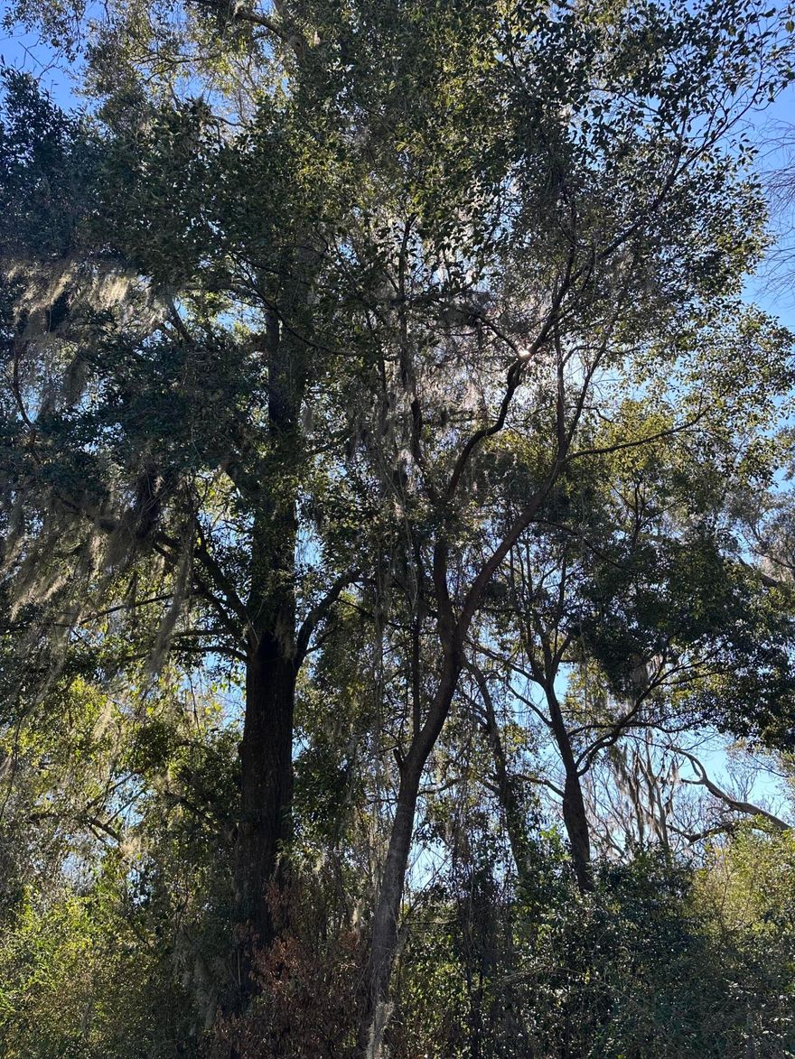 Beautiful Lot for new home!