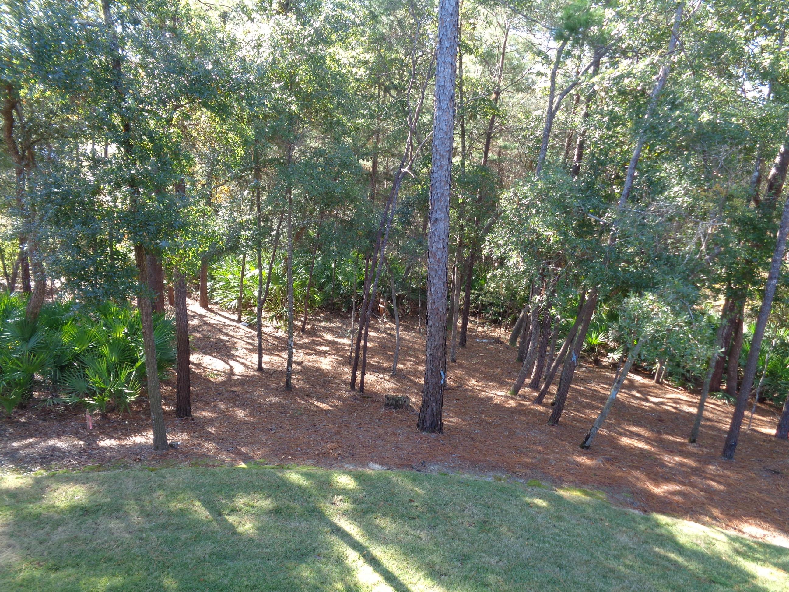 SWIFT CREEK PLANTATION - Residential