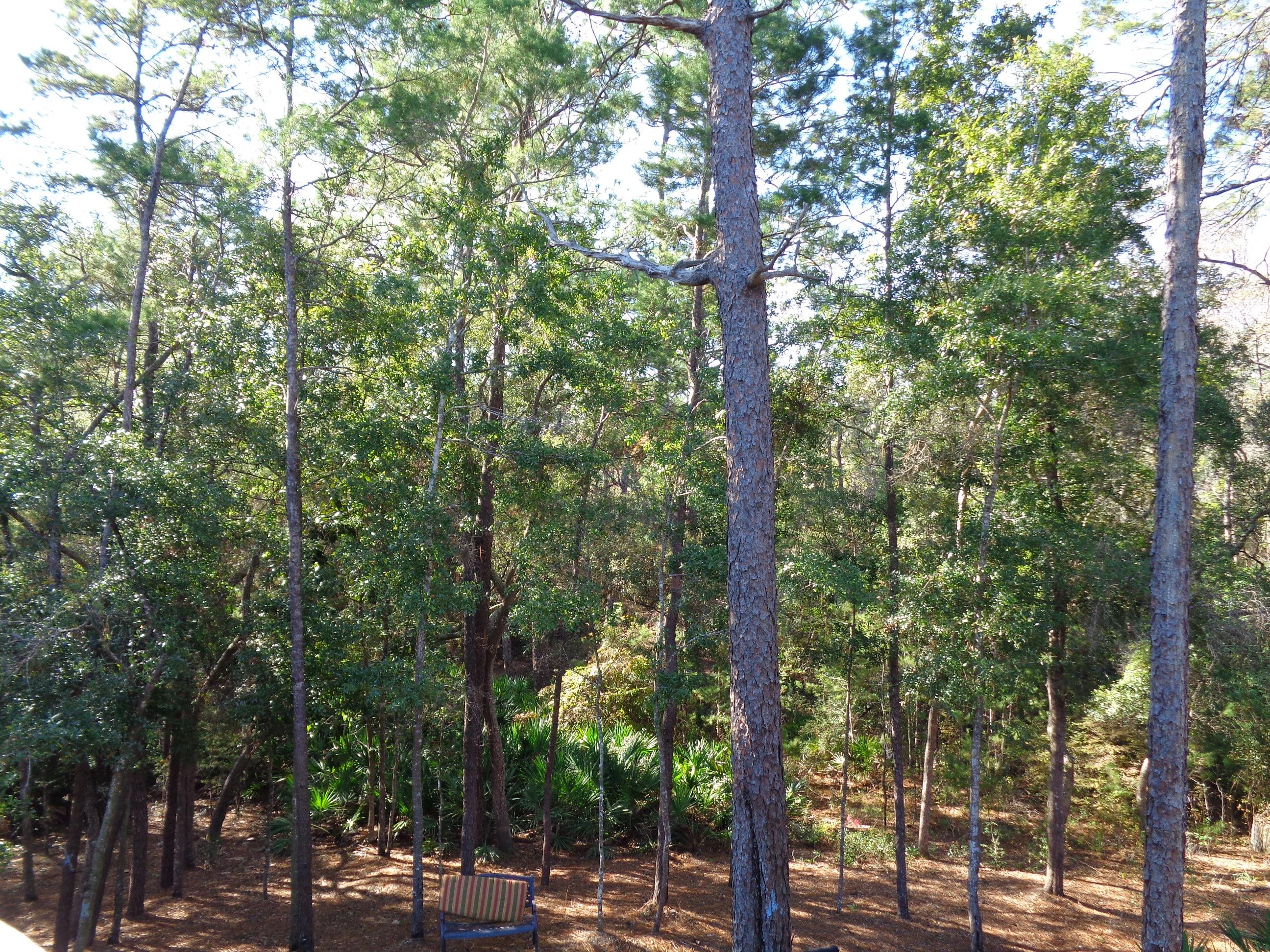 SWIFT CREEK PLANTATION - Residential