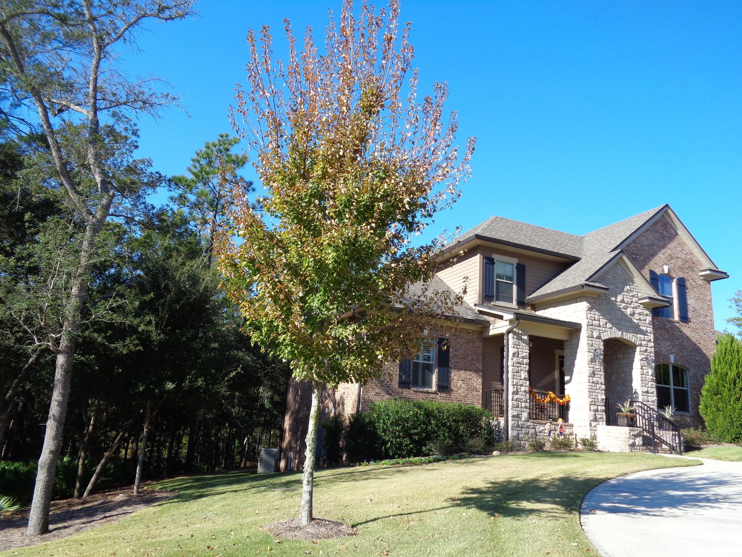 SWIFT CREEK PLANTATION - Residential