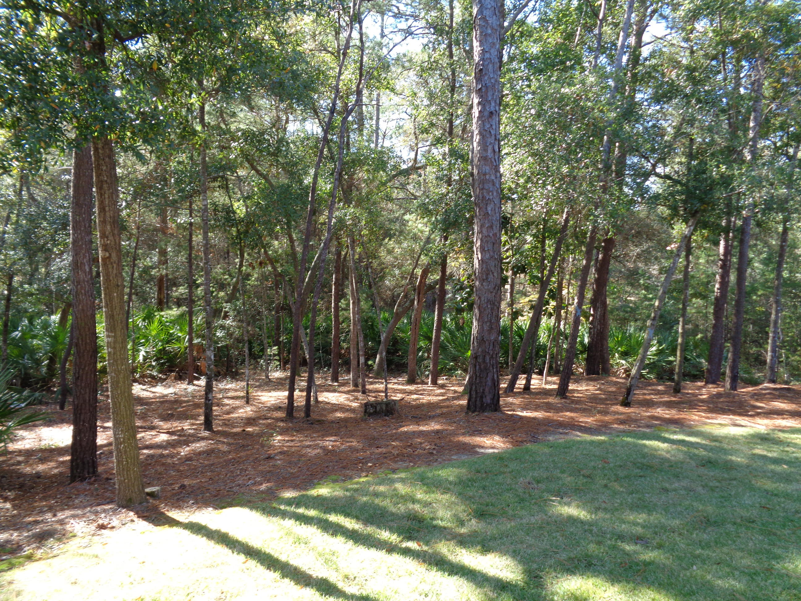 SWIFT CREEK PLANTATION - Residential