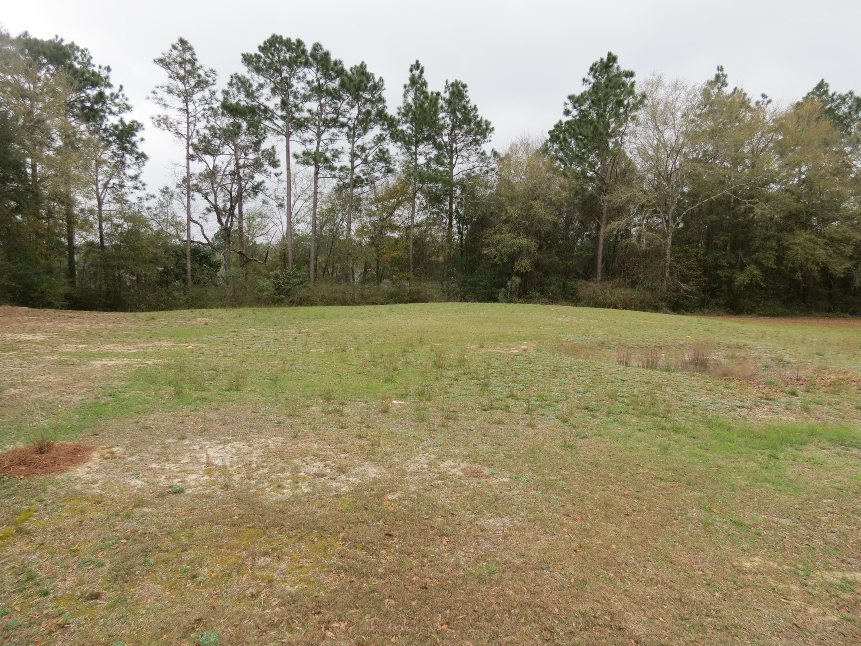 PINNACLE POINT - Residential