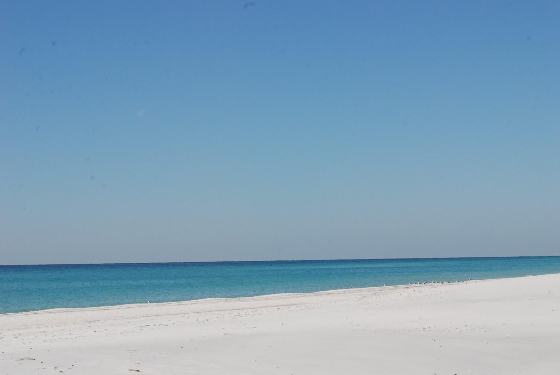 WINDANCER CONDO - Residential