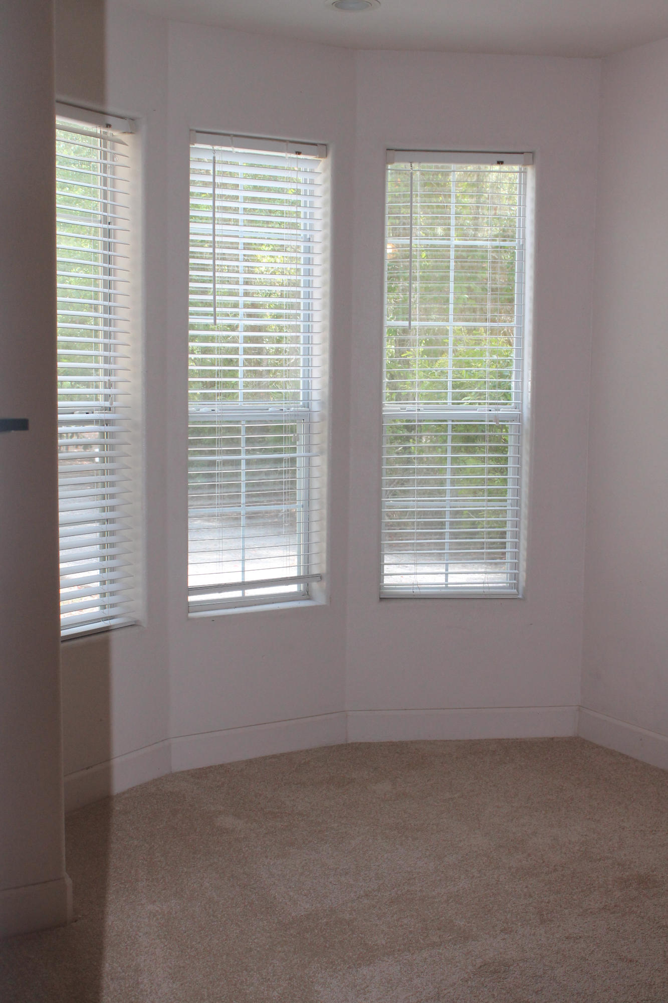 The Shallows - Residential