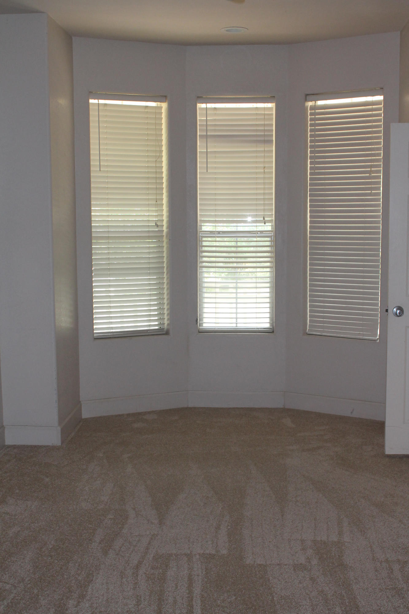 The Shallows - Residential