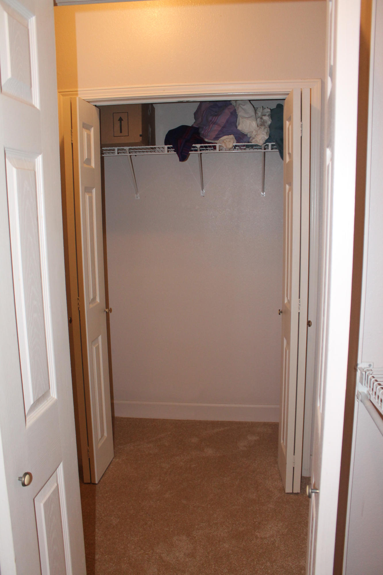 The Shallows - Residential