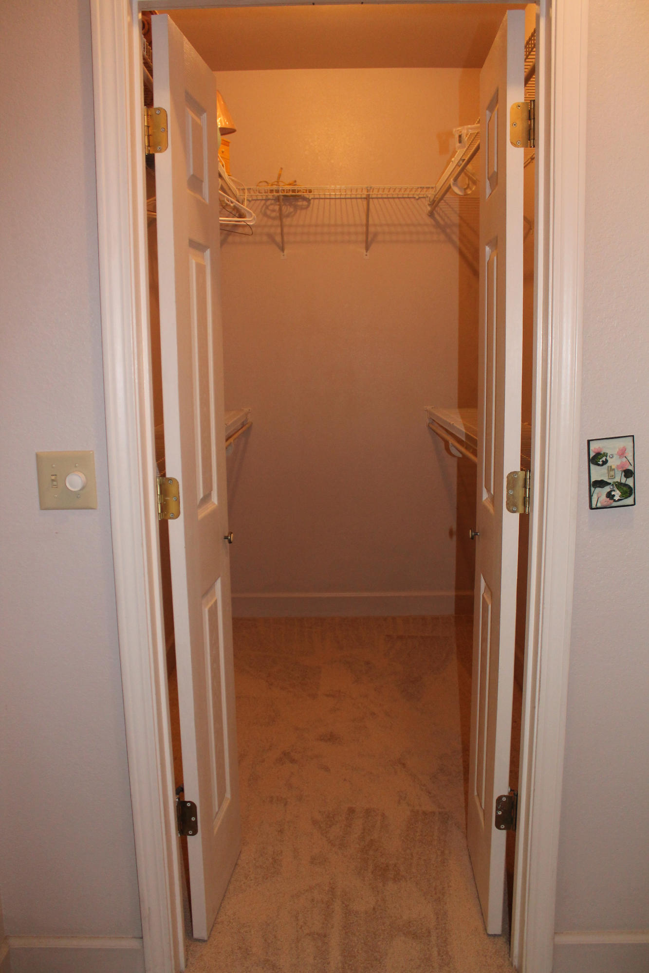 The Shallows - Residential