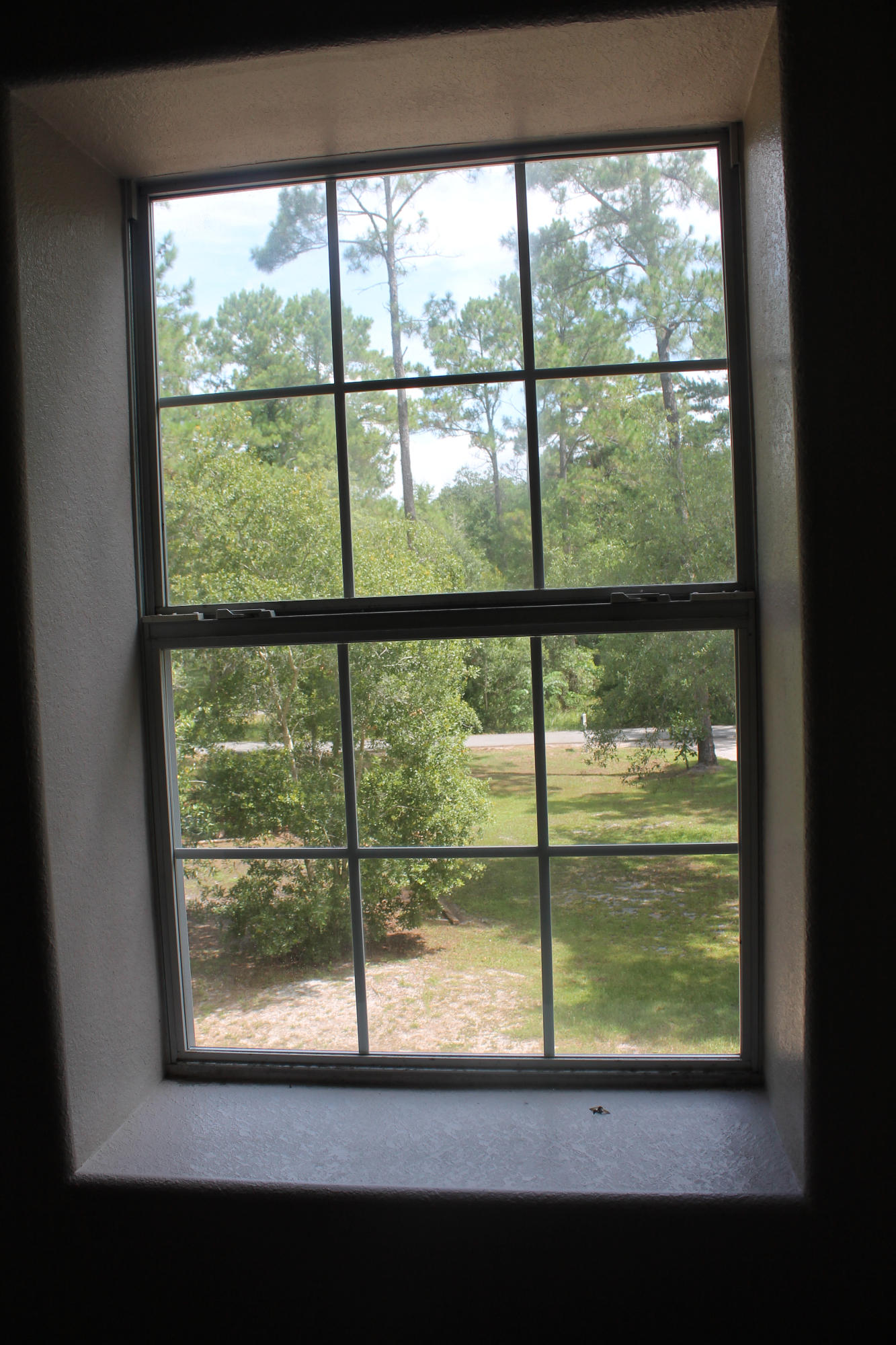 The Shallows - Residential