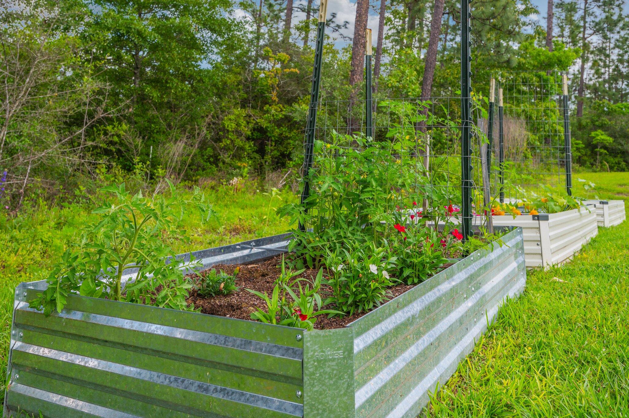 HERITAGE PLANTATION - Residential