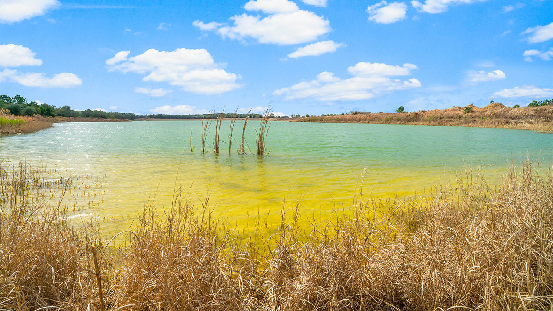 Owl's Head East - Residential