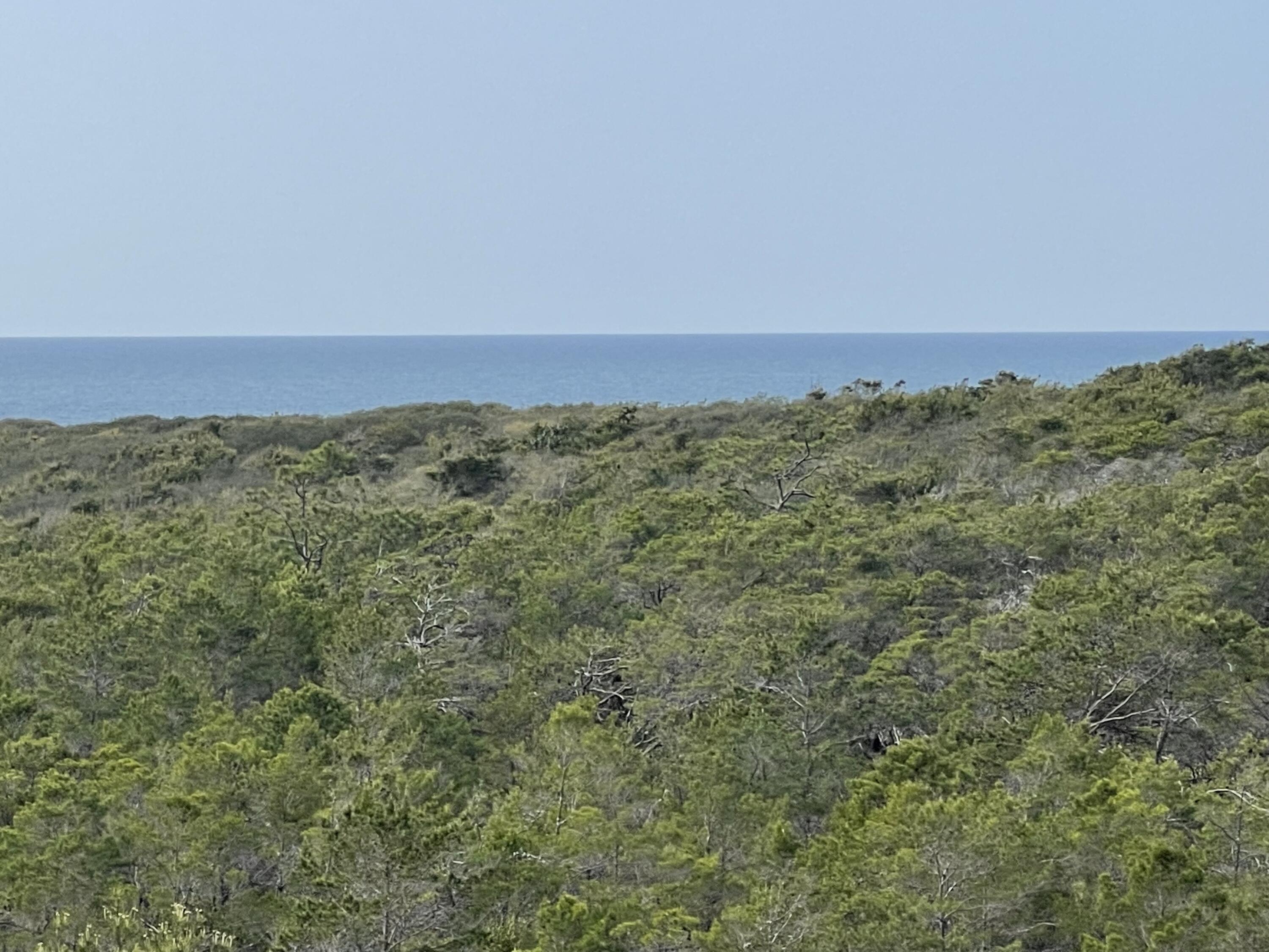 CYPRESS DUNES - Residential