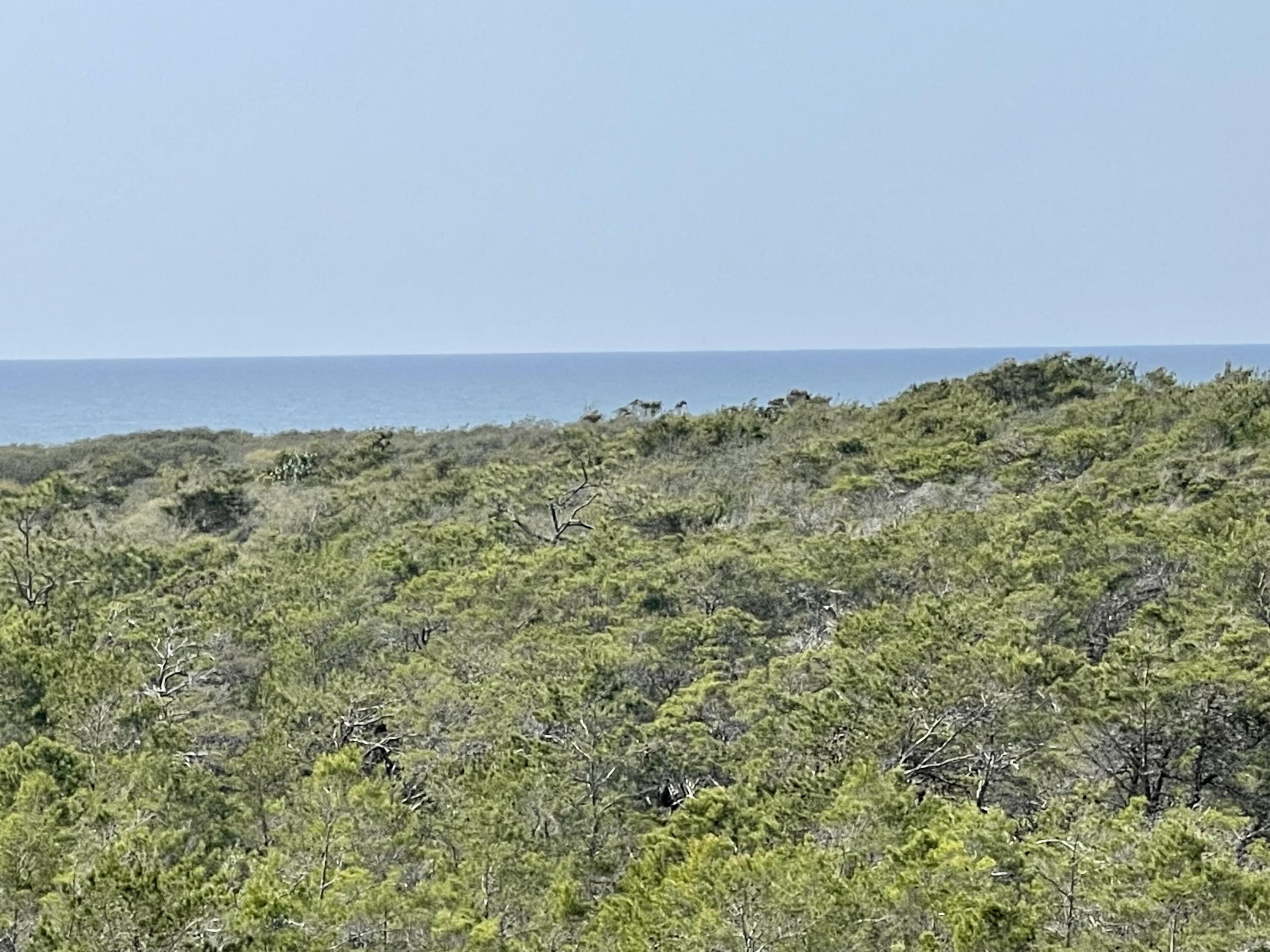 CYPRESS DUNES - Residential