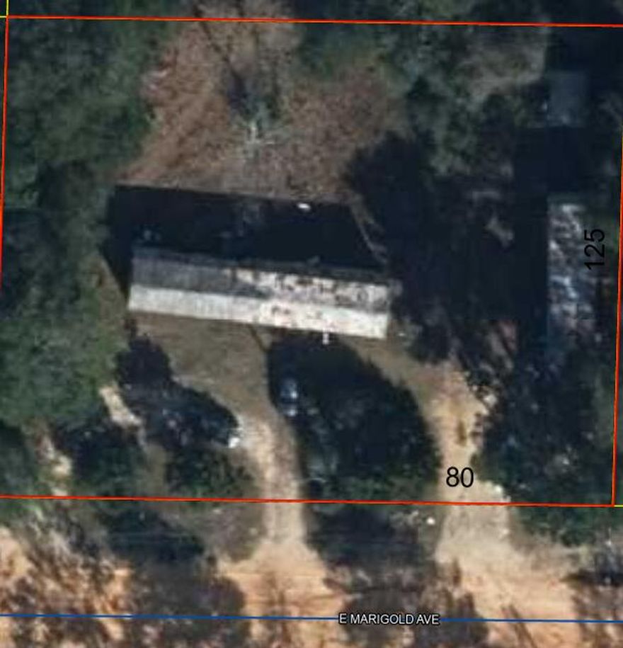 Investment Opportunity in North Walton County. This particular listing has 2 mobile homes on the property.  Get ready with your tools as the property is need of renovations. The lot has septic, water, and electricity.  The seller also have lots on Crocus and Clover, they will consider selling all three to one investor. The MLS numbers are 933702 and 933704. Theses homes will not qualify for financing. Call your agent today for additional details.  All information to be verified by the buyer.