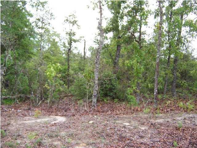 JUNIPER LAKE ESTATES - Land