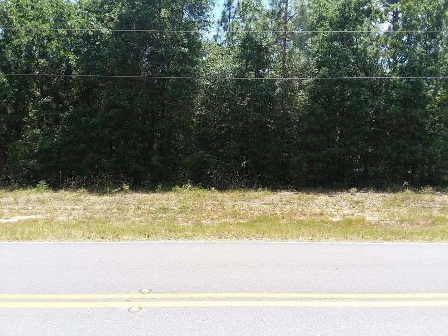 This is an excellent chance to own a desirable lot on Lake Silver Rd. Paved street with level lot.
If you prefer a larger lot, the owner also has the adjacent lot that she would consider selling.. It is the same dimensions (.7 acre and 102 x 297)