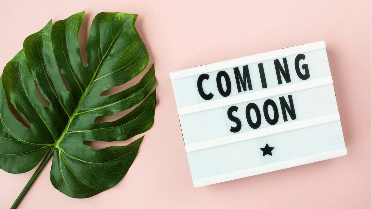 PROFESSIONAL PHOTOS COMING SOON!