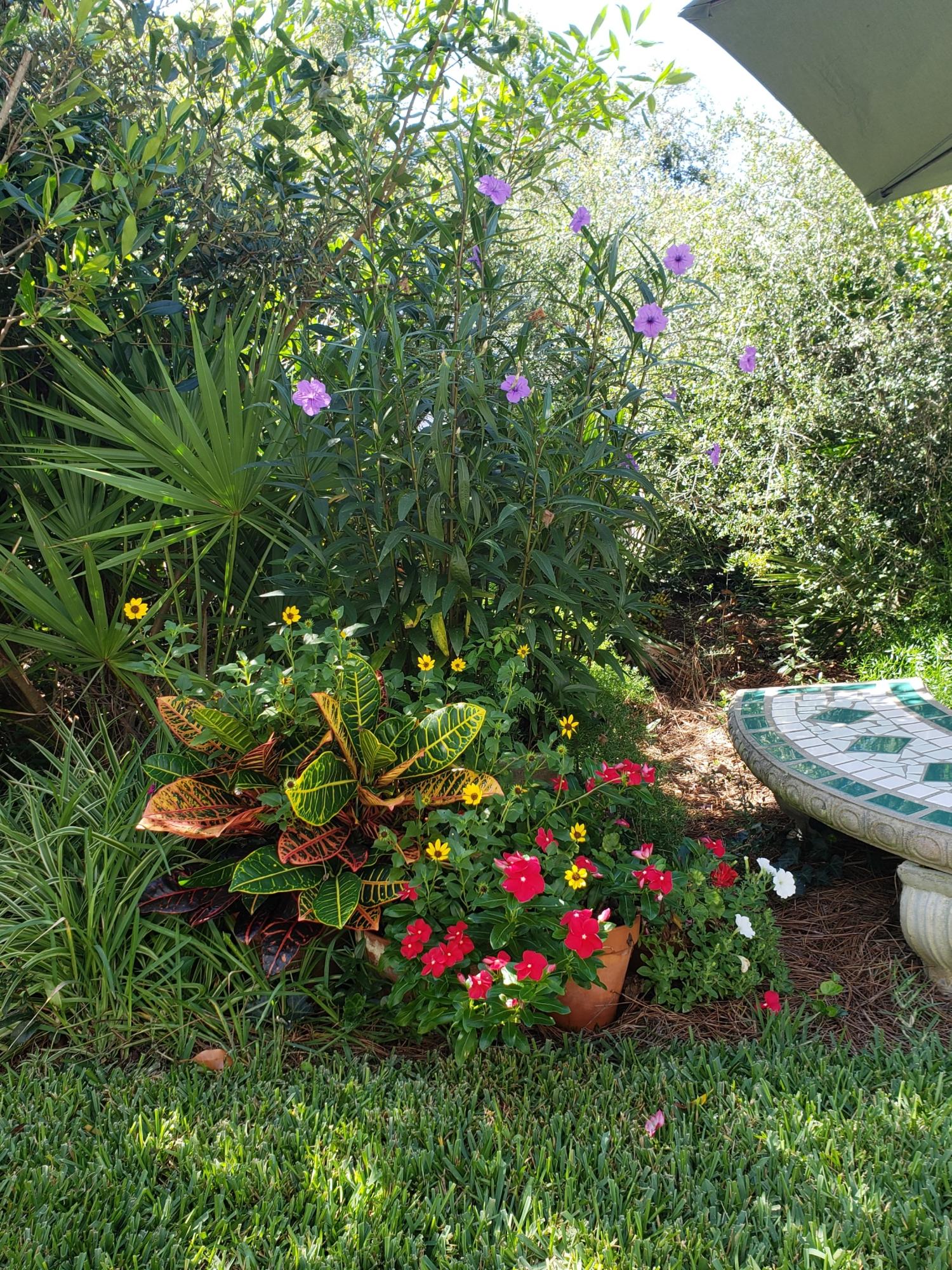 GULFVIEW ESTATES - Residential