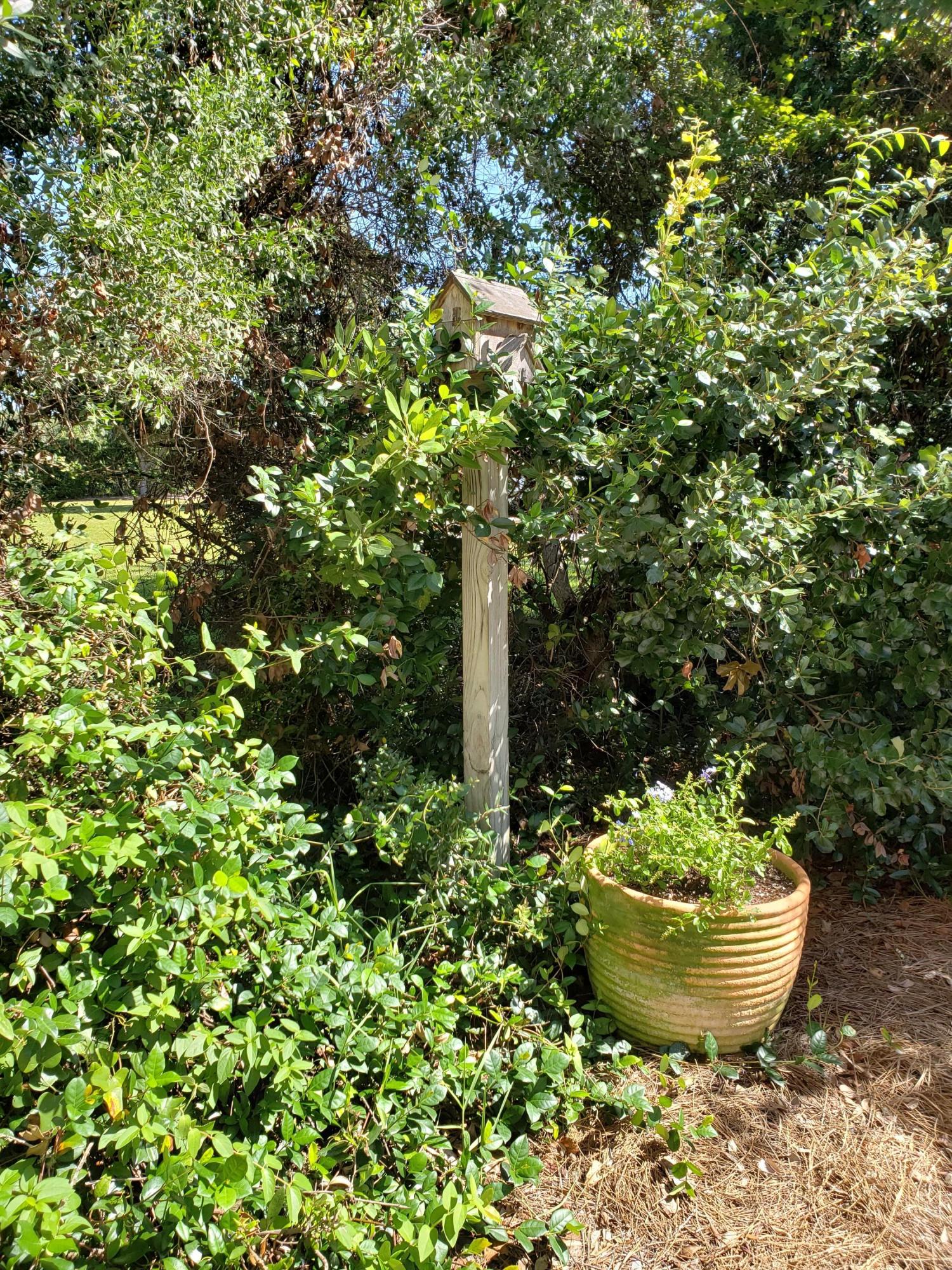 GULFVIEW ESTATES - Residential