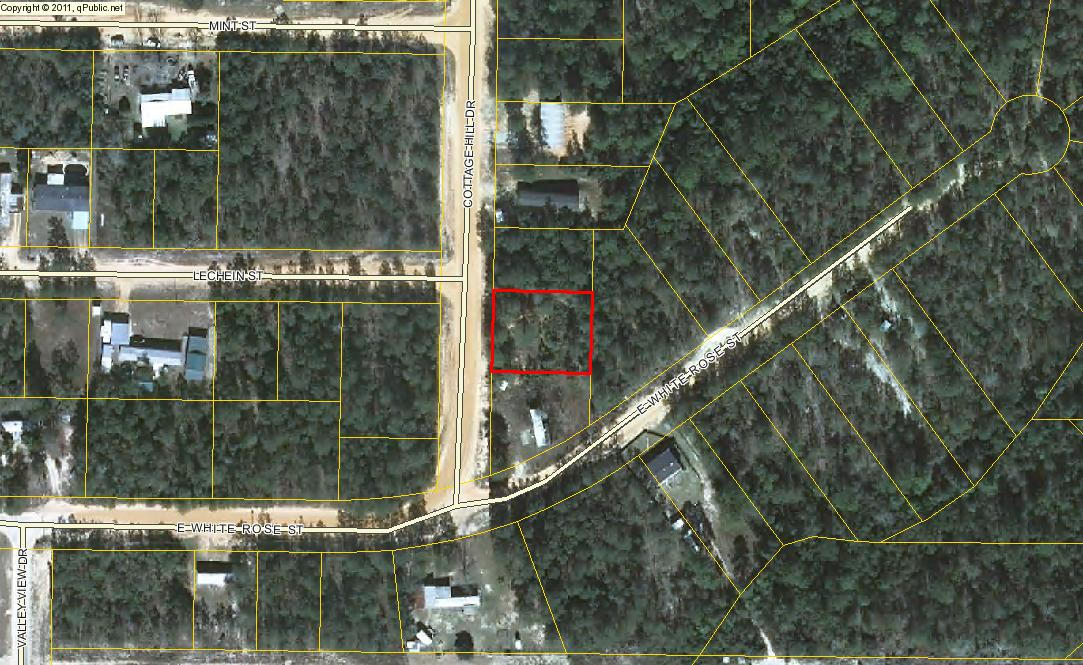Nice level wooded lot with utilities available. No restrictions. Mobile homes, houses, and RV's allowed.