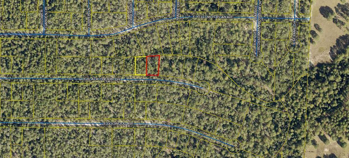 Wooded Lot. Manufactured homes allowed. The road access is wooded.