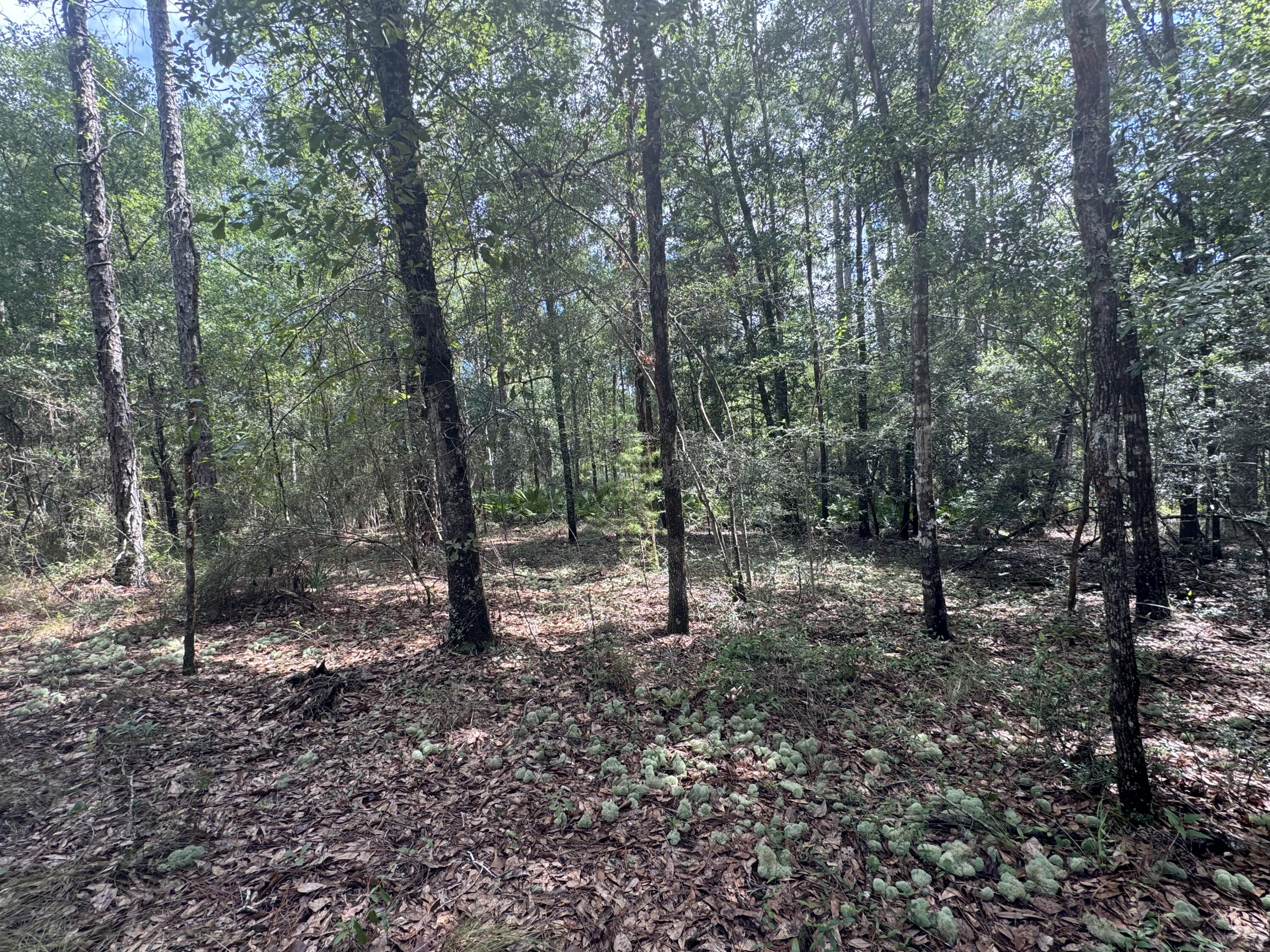 OAKWOOD HILLS UNIT 4 - Land