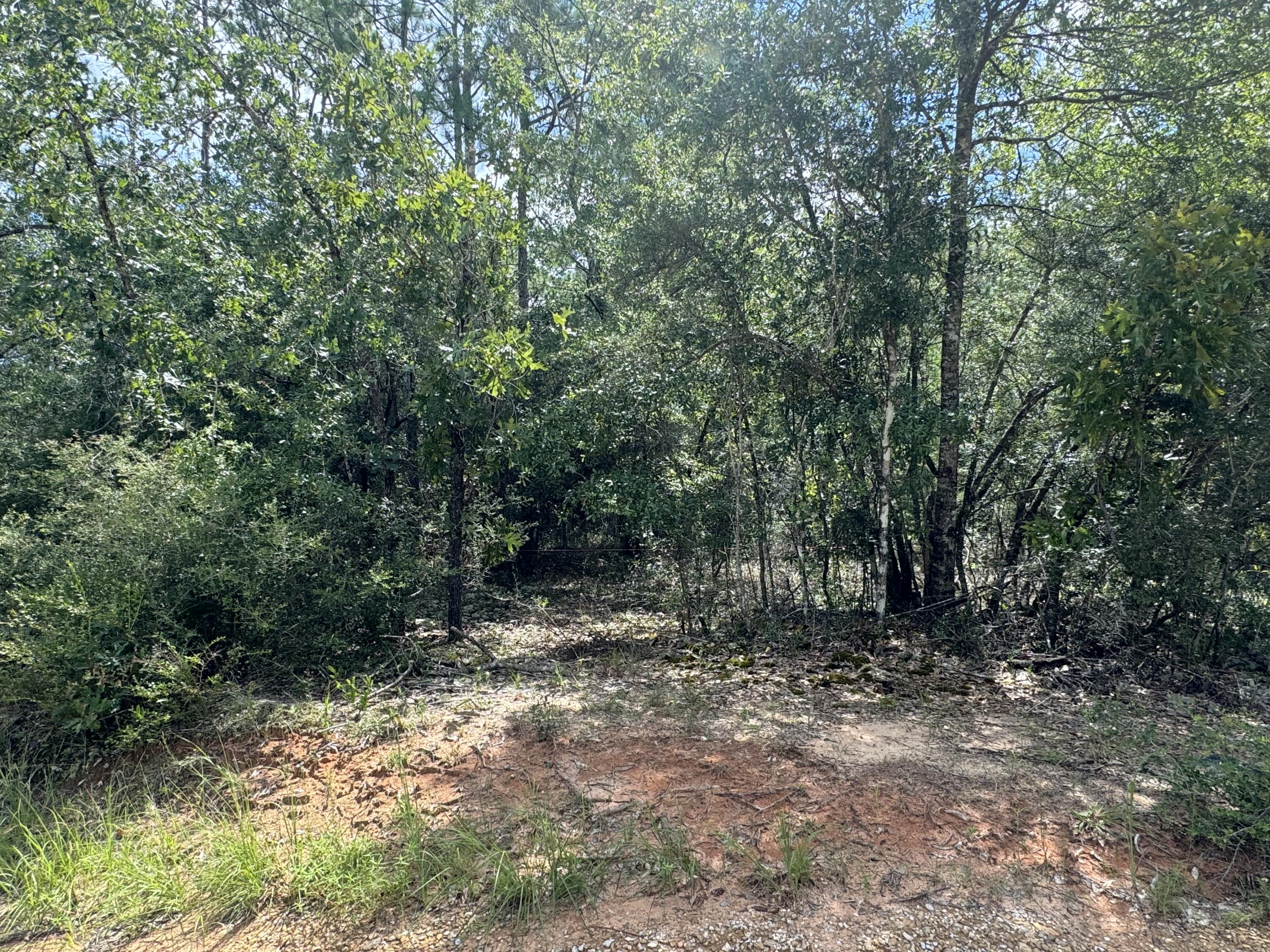 OAKWOOD HILLS UNIT 4 - Land