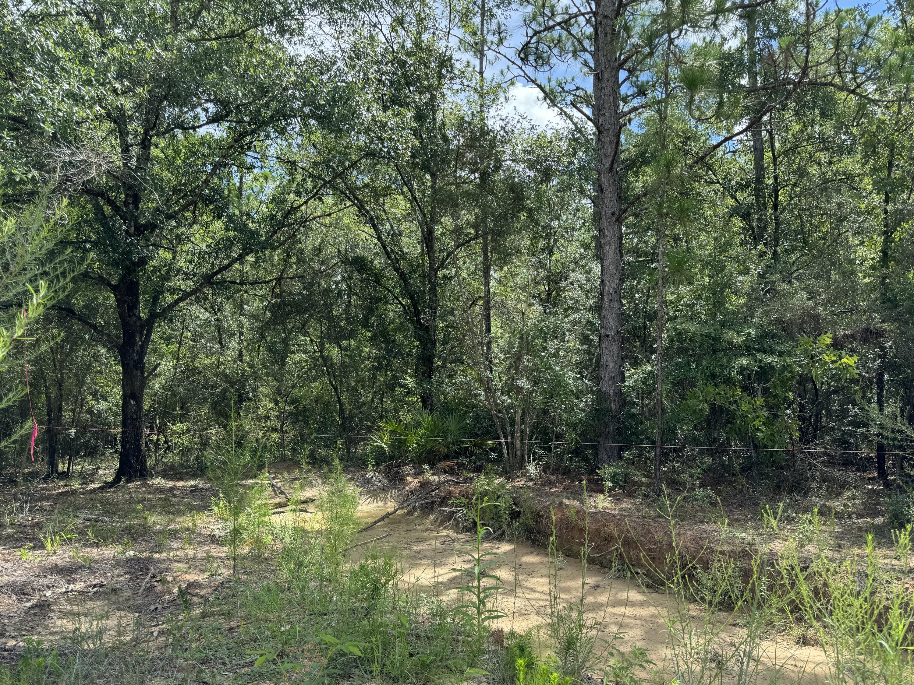 OAKWOOD HILLS UNIT 4 - Land