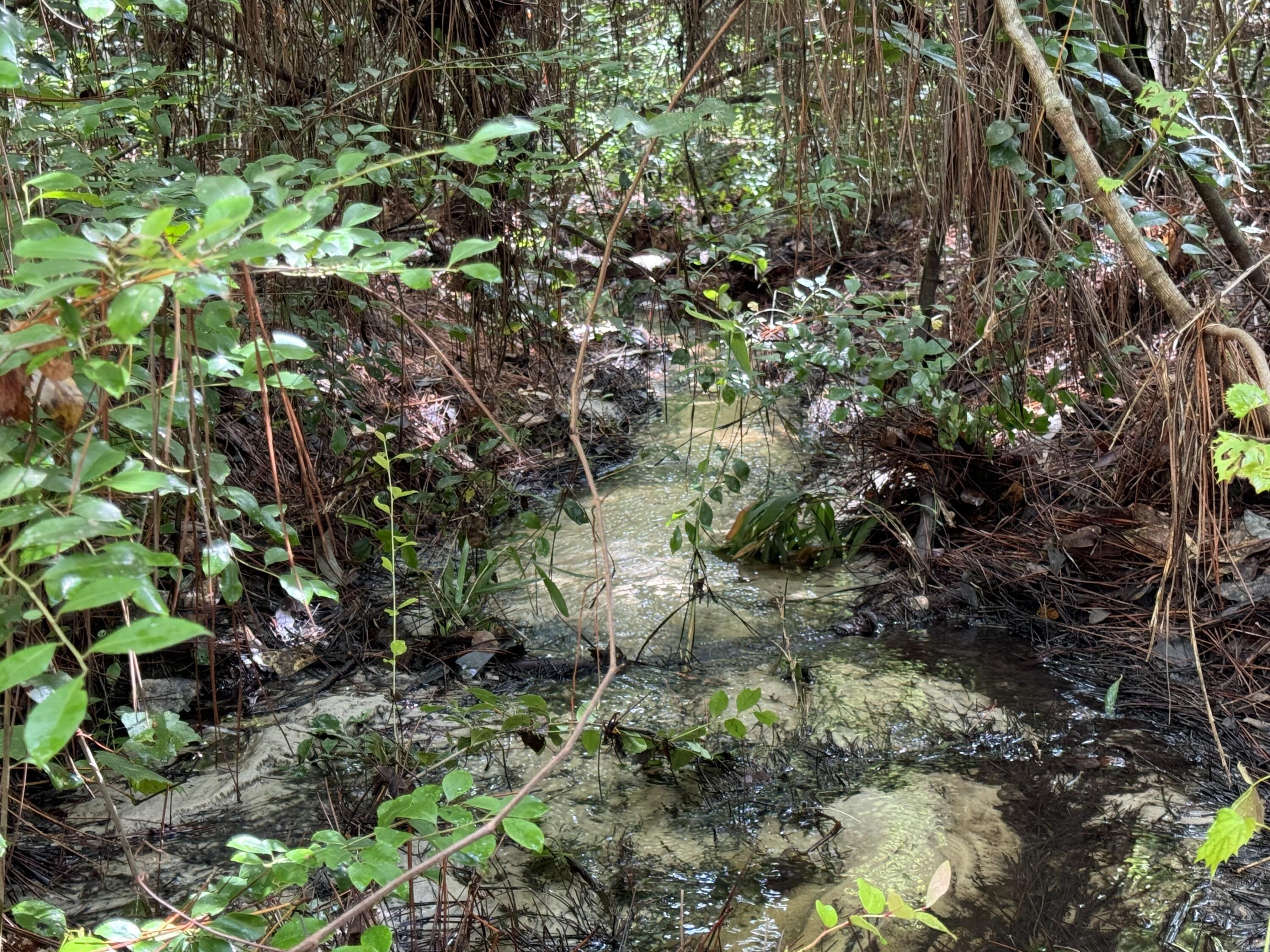 OAKWOOD HILLS UNIT 4 - Land