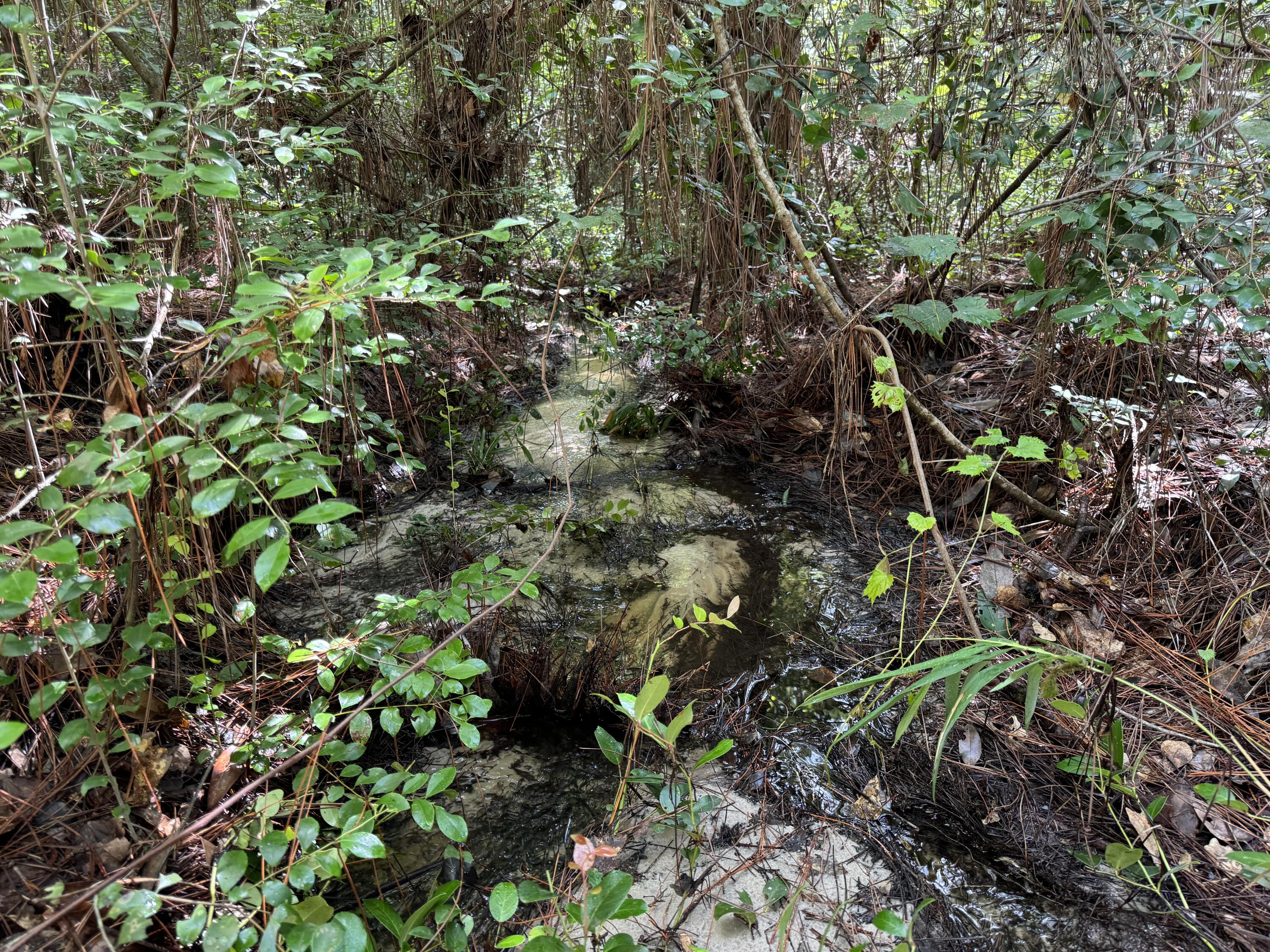 OAKWOOD HILLS UNIT 4 - Land